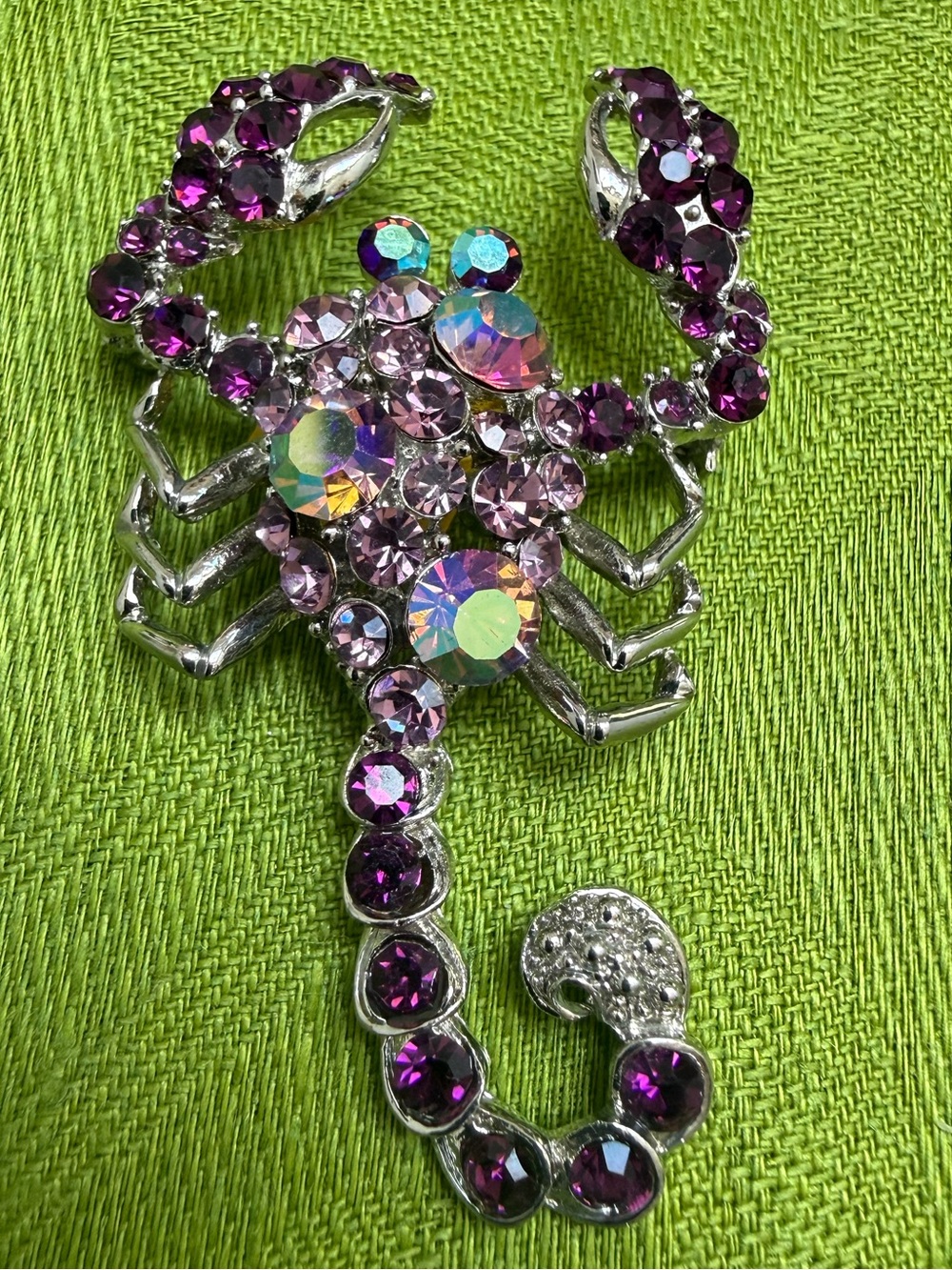 Scorpion Brooch